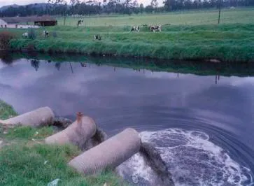 Contaminantes Orgánicos